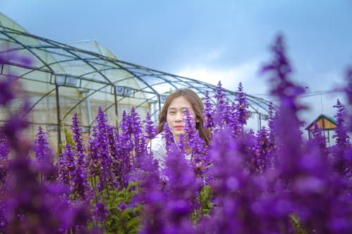 Woman Standing Behind Purple Petaled Flowers