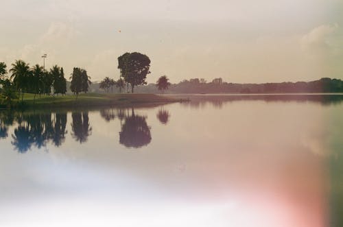 Gratis stockfoto met bomen, buiten, h2o