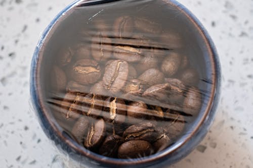 Free Coffee Beans in a Cup Stock Photo
