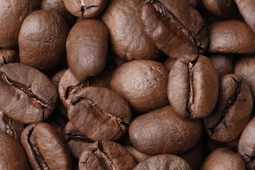 Close Up Shot of Coffee Beans