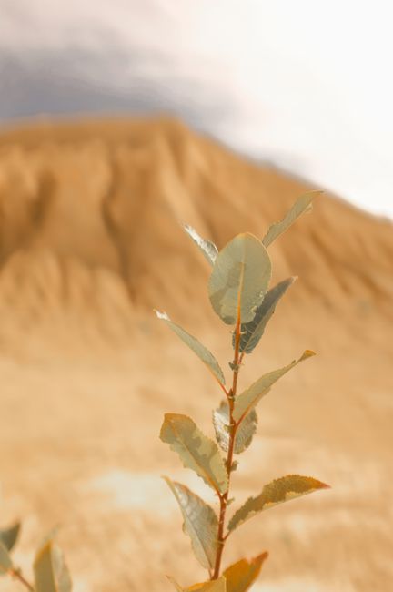 Photo by Lada Rezantseva on pexels