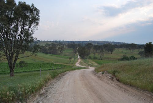 Dirt Road in the Countryside