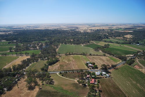 Aerial Photography of an Agrilcultural Fields