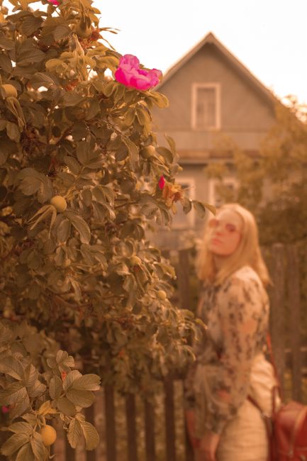 Photo by Lada Rezantseva on pexels