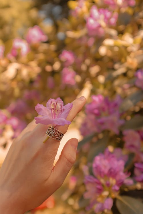 A Flower Attached to a Ring