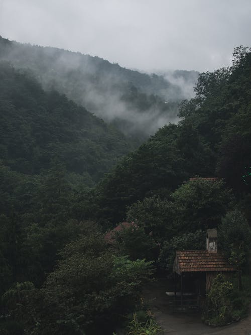 Immagine gratuita di alberi, casa di legno, montagne