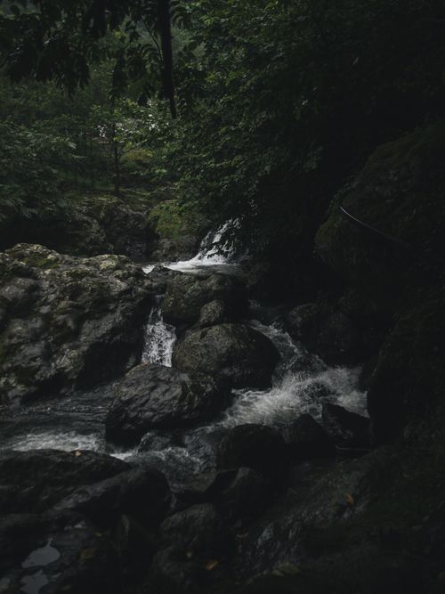Free Tranquil scene of a waterfall flowing over rocks in a lush forest setting. Stock Photo