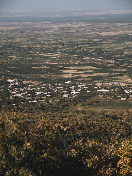 ağaçlar, arazi, drone çekimi içeren Ücretsiz stok fotoğraf