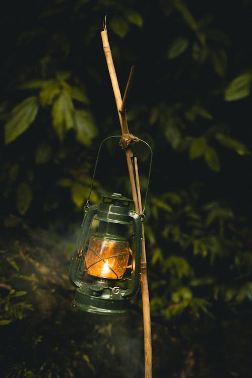 Free A Lighted Kerosene Lamp Hanging on a Stick Near Green Leafy Plant Stock Photo