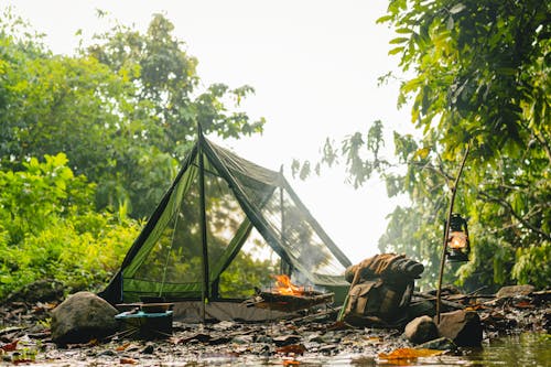 Tent Near the Trees