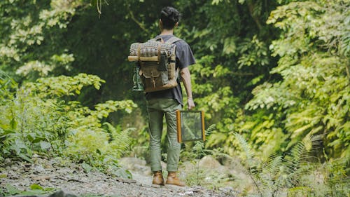Free Man with a Backpack Carrying his Things While in the Forest Stock Photo