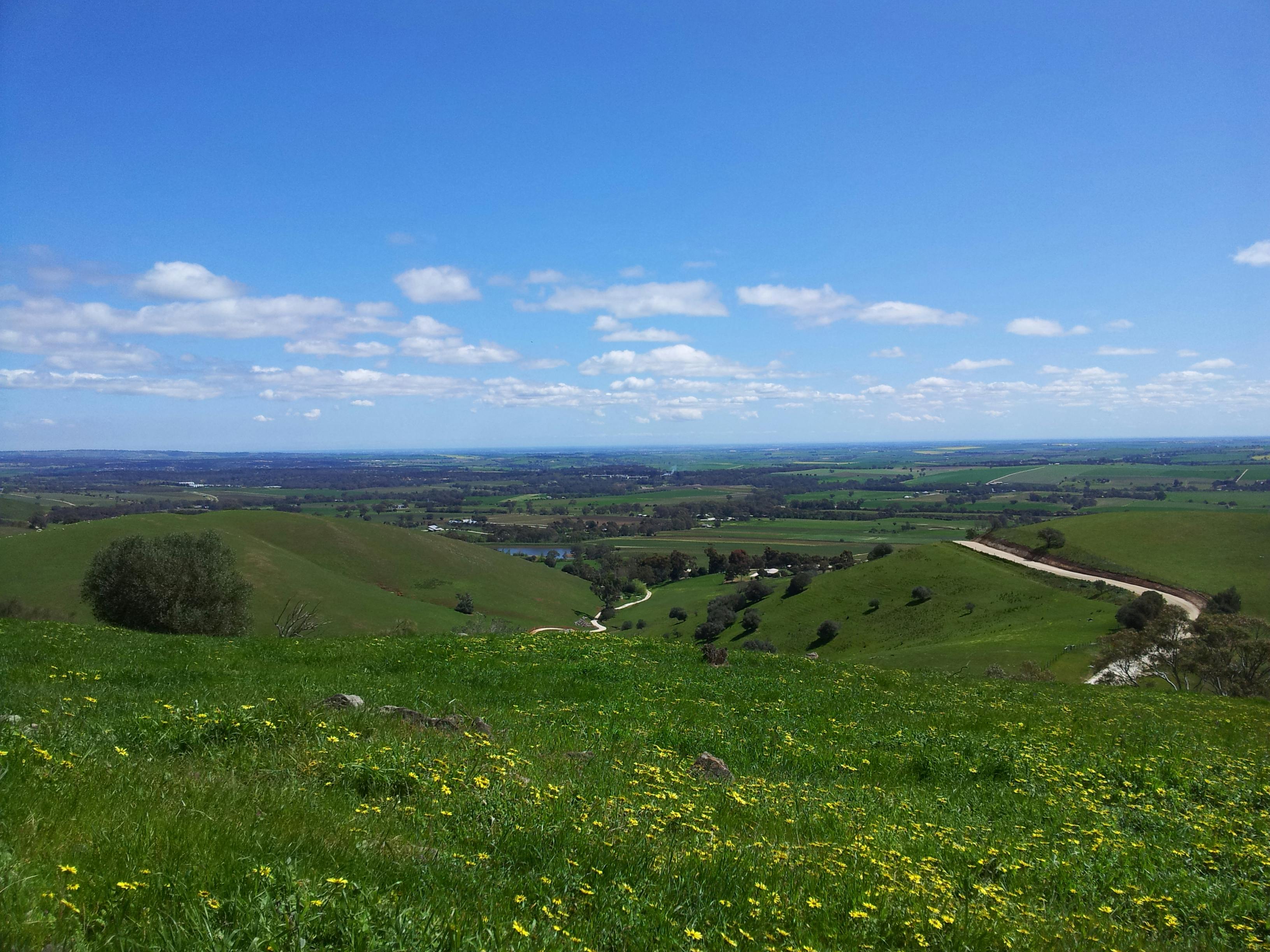 Rich and creamy Dal Makhani in a black bowl