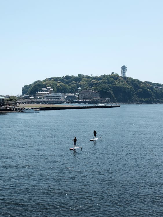 Fotos de stock gratuitas de cuerpo de agua, embarque de paletas, fujisawa