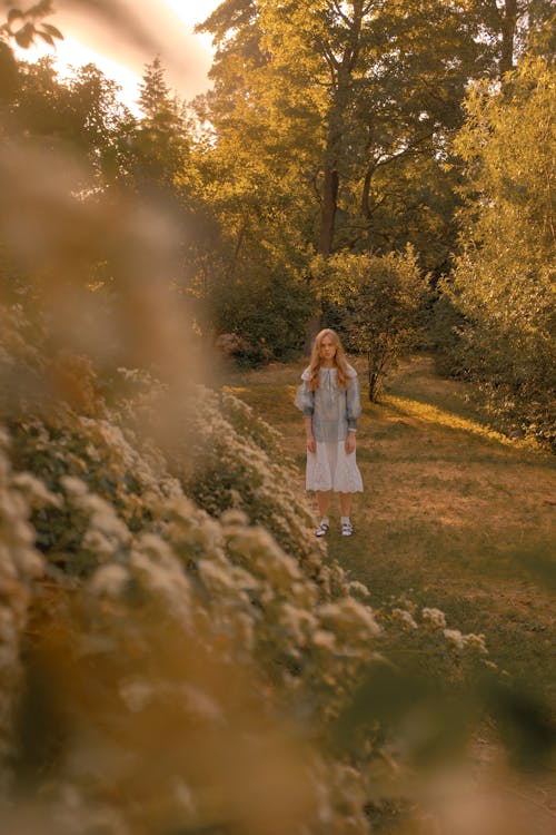 Foto d'estoc gratuïta de adolescència, adolescent, dempeus