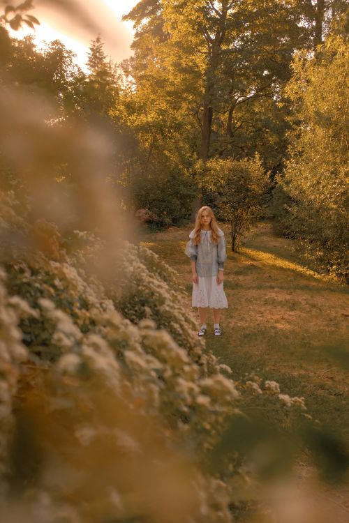 Free Teenage girl walking through a picturesque garden during golden hour, surrounded by lush greenery and blooming flowers. Stock Photo