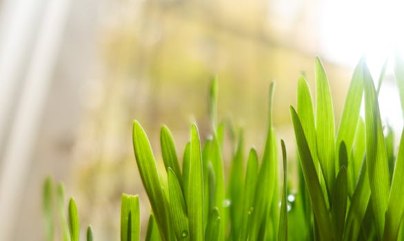 阳光下，充满活力的绿色叶片沐浴着阳光，展现出新鲜的生长与活力