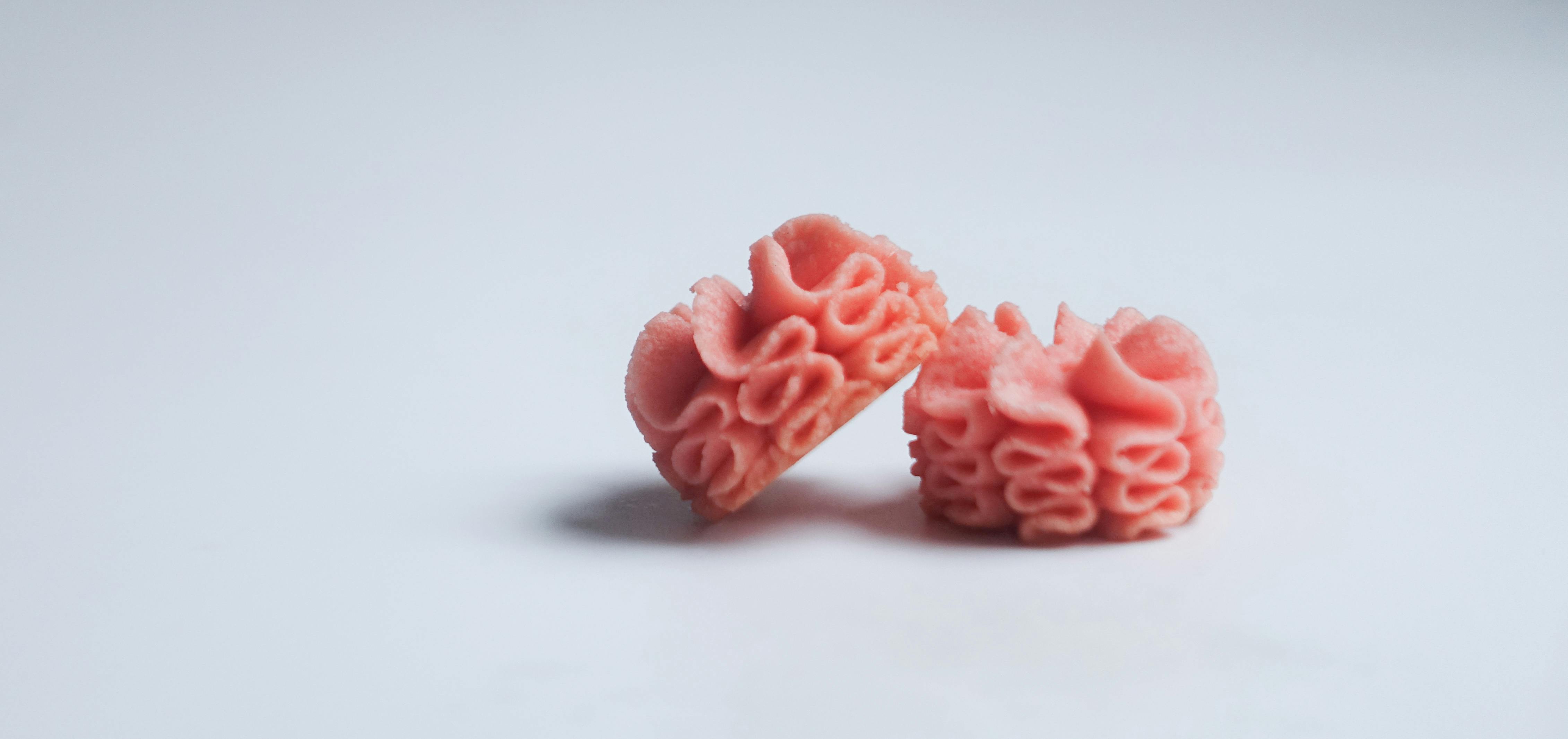 Vegan Beslenme ile Sağlıklı ve Lezzetli Tarifler: Bitkisel Yaşamın İncileri