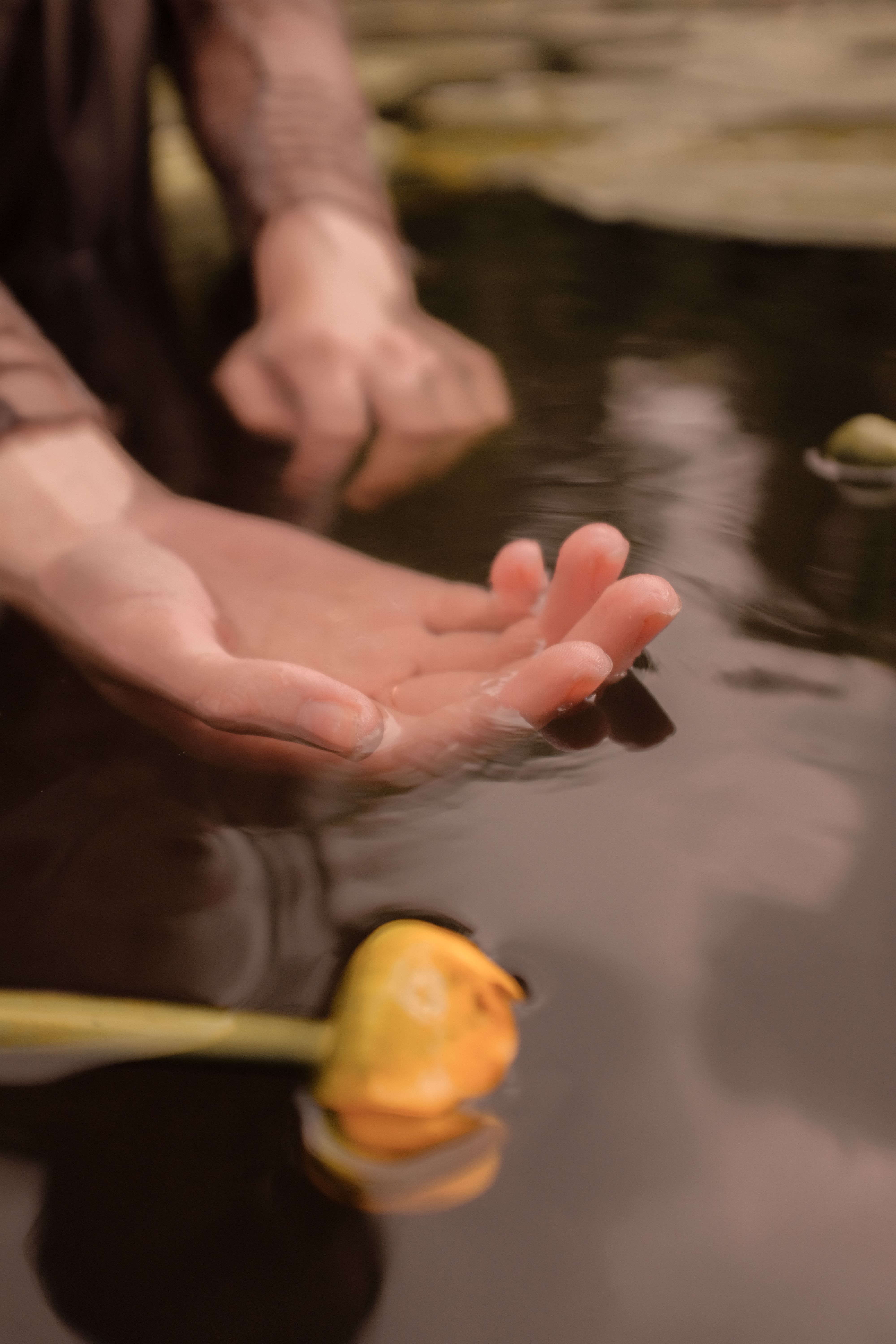 Close-up of hands hovering over water with a yellow lily in view, creating a serene and reflective atmosphere.