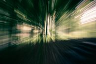 Green Light in the Dark