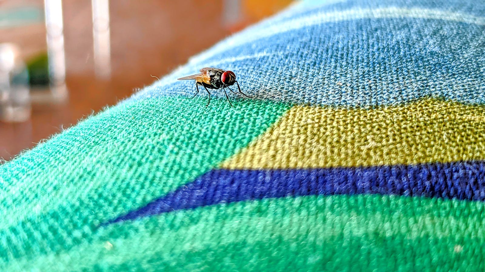 サッカードリブル練習