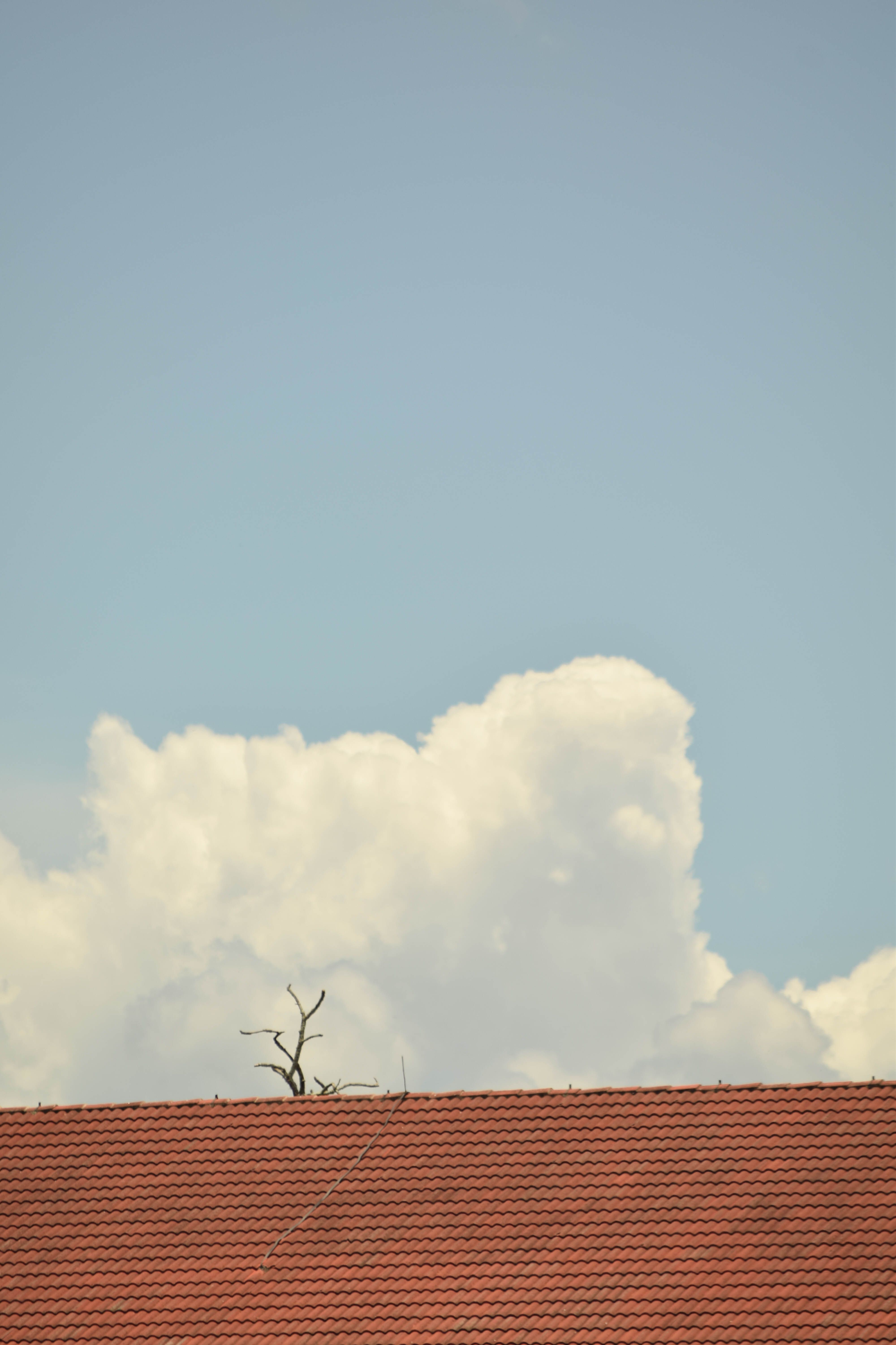 A serene view of a rooftop against a backdrop of a clear blue sky and fluffy clouds.
