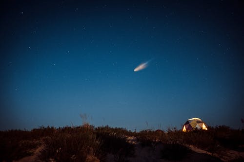 Chi Cygnid Meteor Shower Returns After Five Long Years
