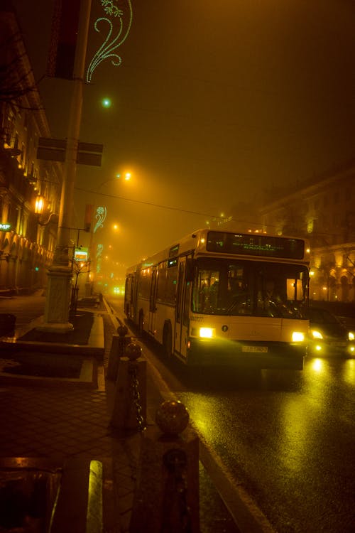 Immagine gratuita di autobus, città, esterno