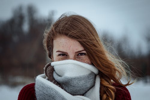 무료 감기, 겨울, 눈의 무료 스톡 사진