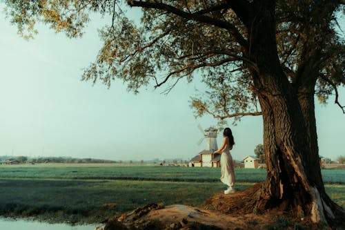 Woman Standing Under a Tree