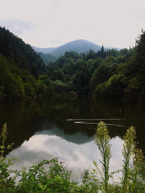 Free Scenic view of a tranquil forest lake surrounded by lush greenery in Gölcük, Kocaeli, Turkey. Stock Photo