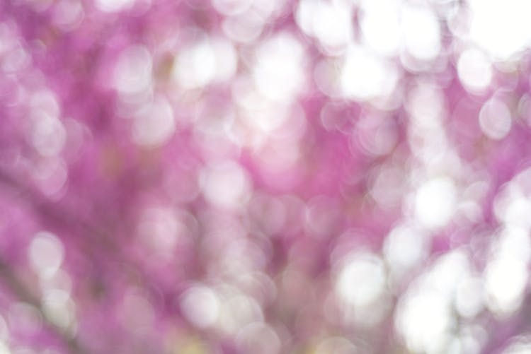 Pink And White Bokeh Lights