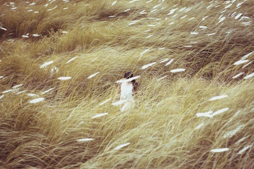 女人穿着白色的衣服站在草中间