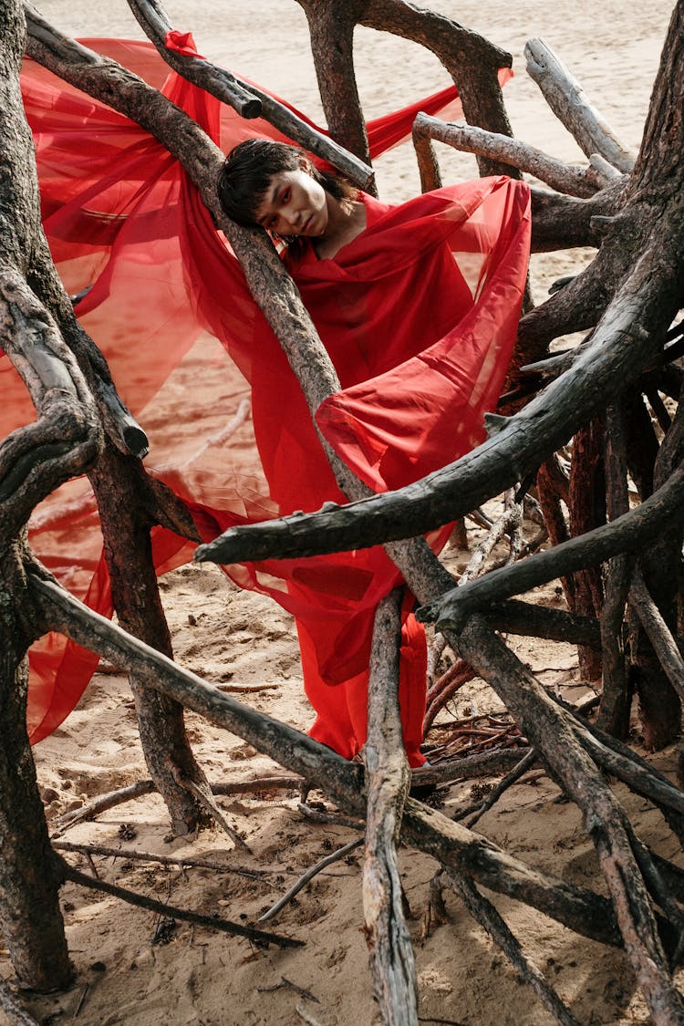 Woman In Red Dress On Tree Roots