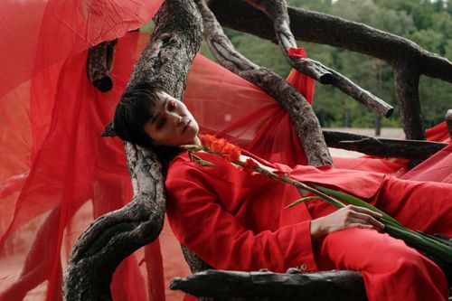 Free A man in a red suit poses artistically on twisted tree branches with flowers, blending fashion and nature. Stock Photo