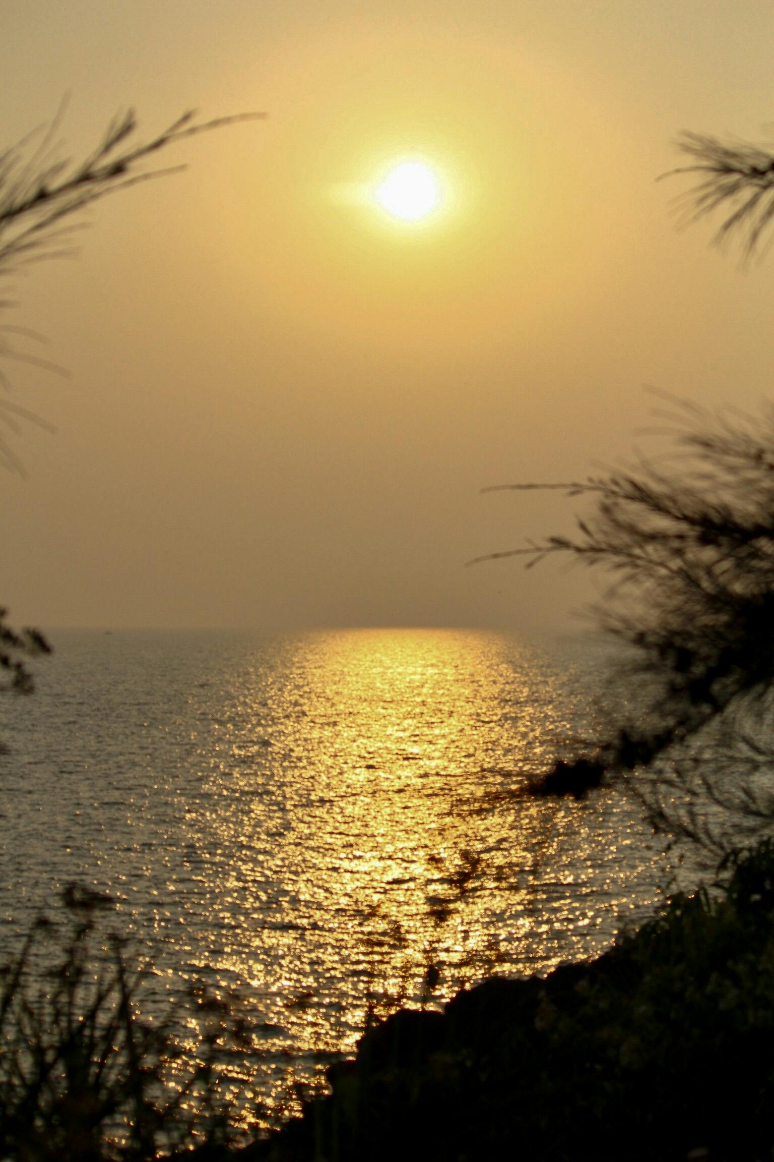 Free stock photo of beach, evening sun, water