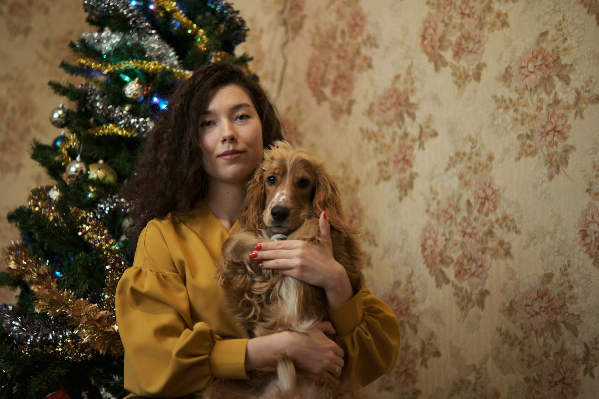 Woman Carrying Her English Cocker Spaniel Dog