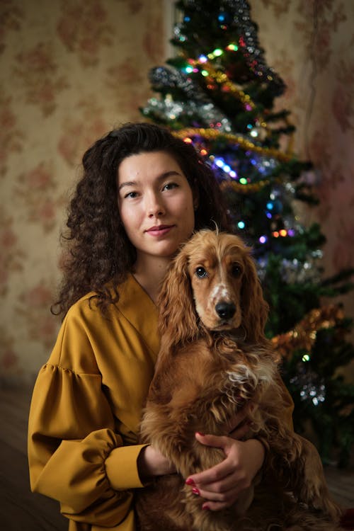 Foto d'estoc gratuïta de abric llarg, animal domèstic, arbre de Nadal