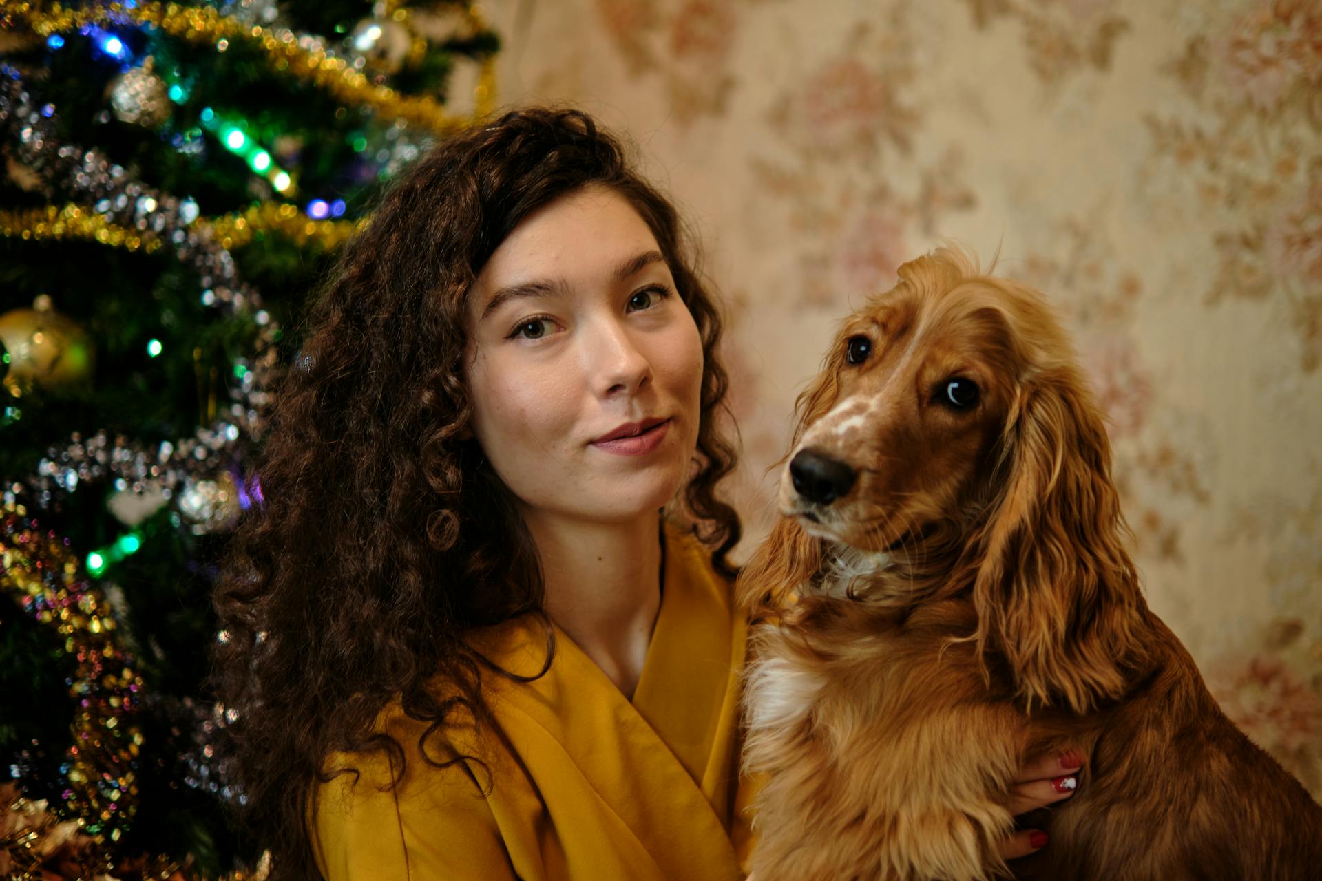 Close-Up Shot of a Woman and Her English Cocker Spaniel Dog