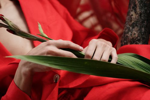 Free Aesthetic depiction of hands holding a flower against a vibrant red backdrop. Stock Photo
