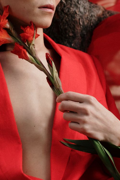Free Stylish portrait featuring a person in a red suit holding gladiolus flowers, blending fashion and art. Stock Photo