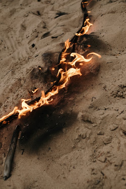 Brown Wood on Gray Sand