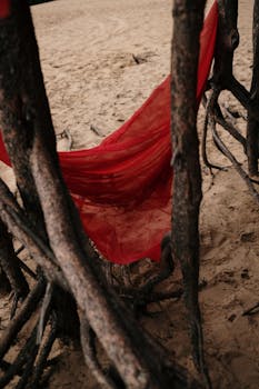A red fabric elegantly draped between driftwood on a sandy beach, conveying a conceptual art theme.