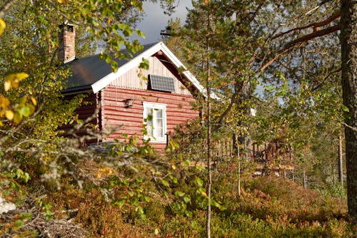 Photos gratuites de arbres, cabine, campagne