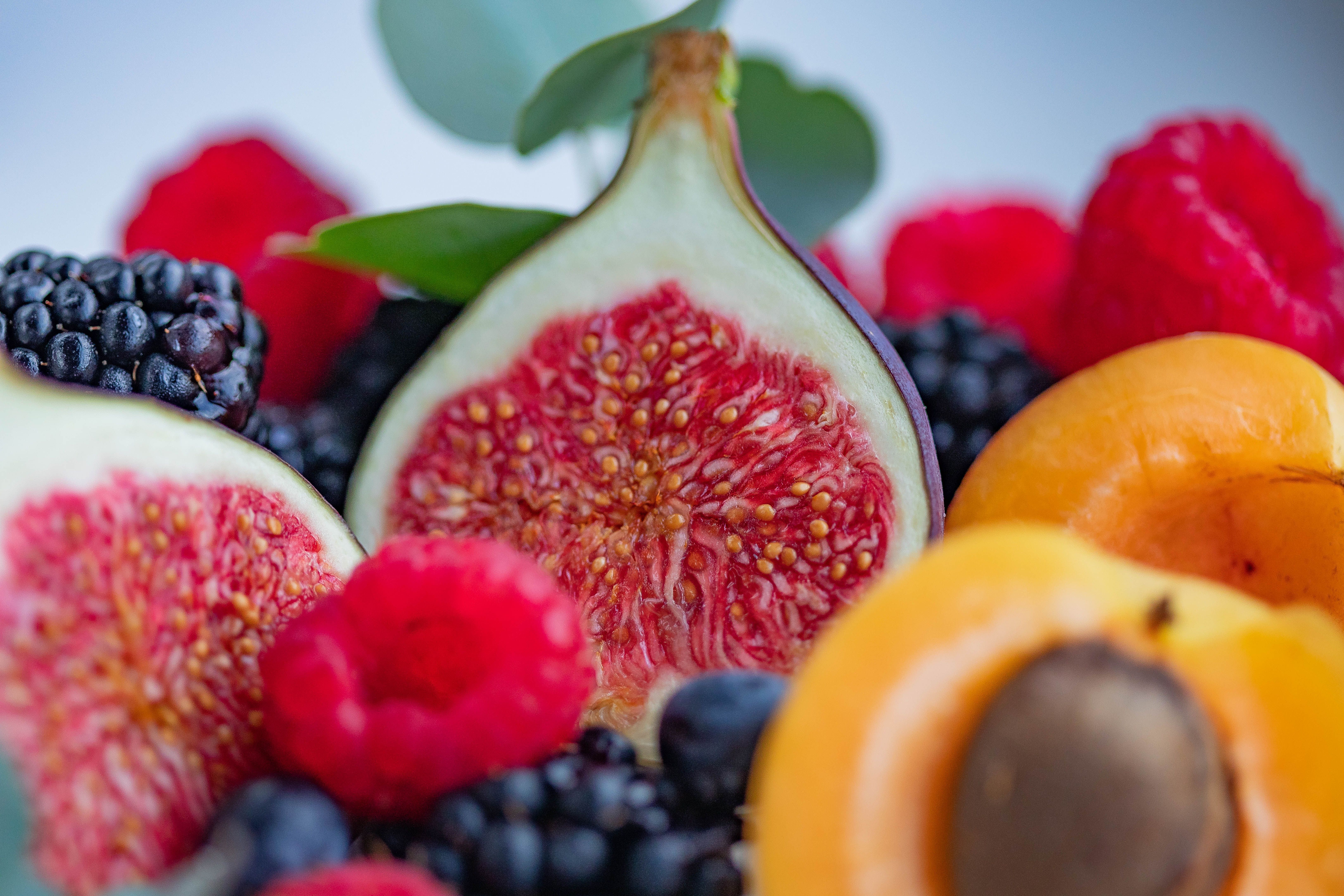 Potential Risks and Contraindications for Plant-Based Diets