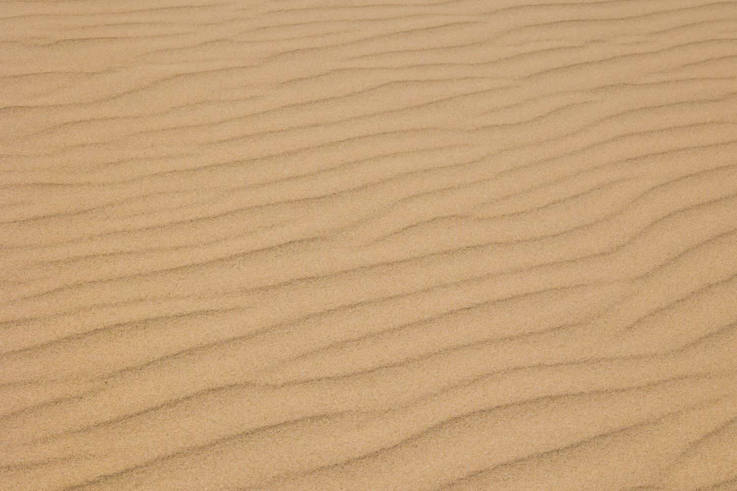 Sandy Background Solid Plain Sandy Background Photos, Download The BEST Free Plain Sandy ...