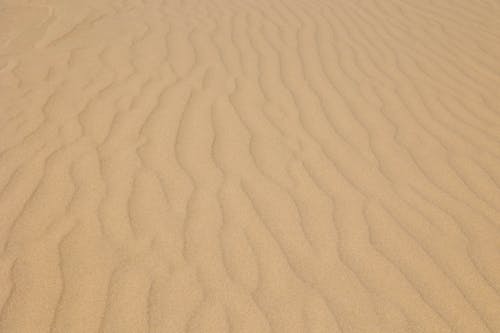 Foto d'estoc gratuïta de desert, dunes de sorra, ondulacions