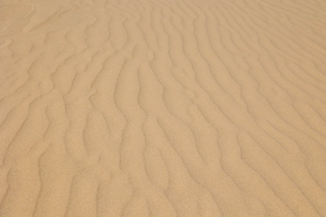 Foto d'estoc gratuïta de desert, dunes de sorra, ondulacions