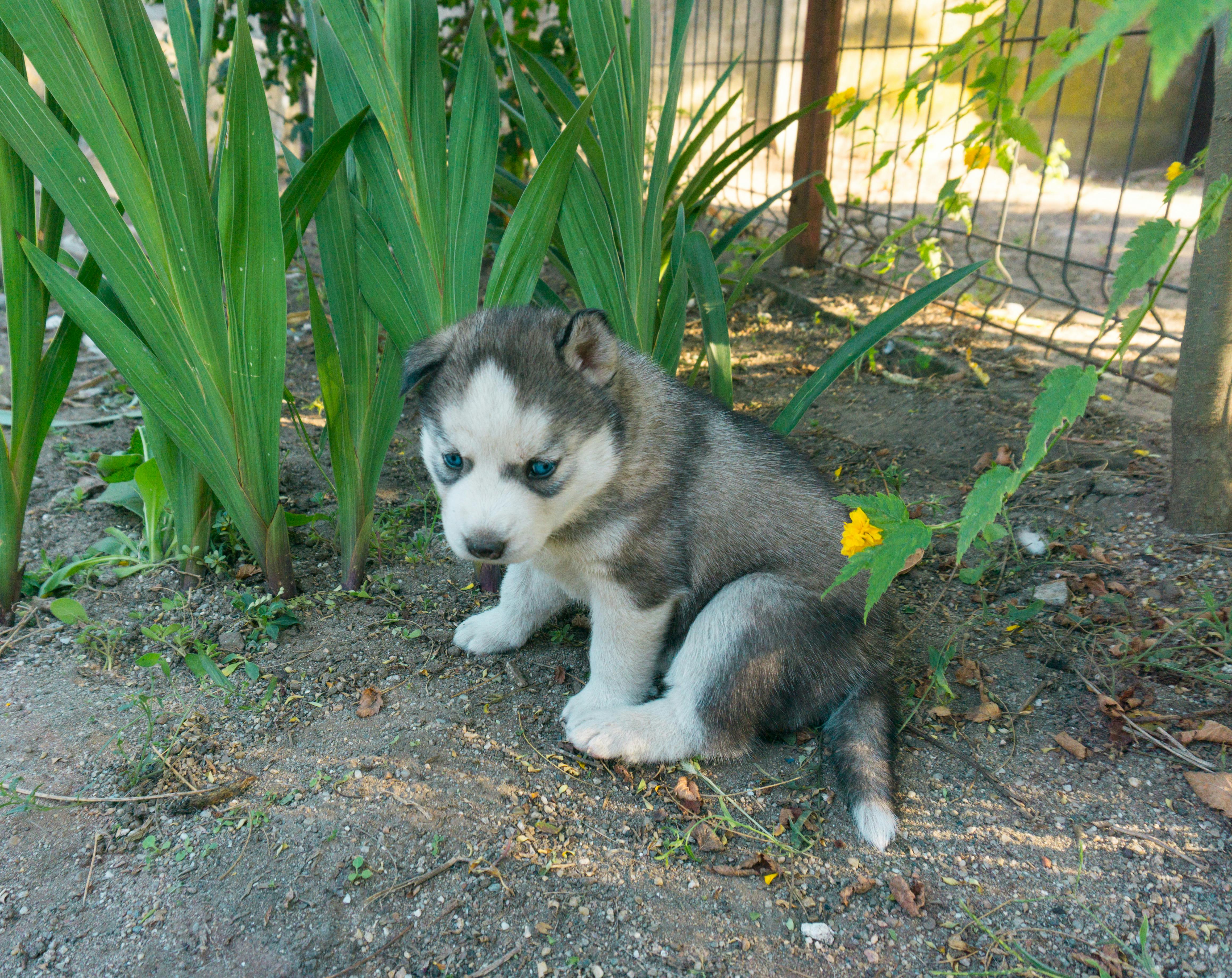 청약을 준비하는 부부