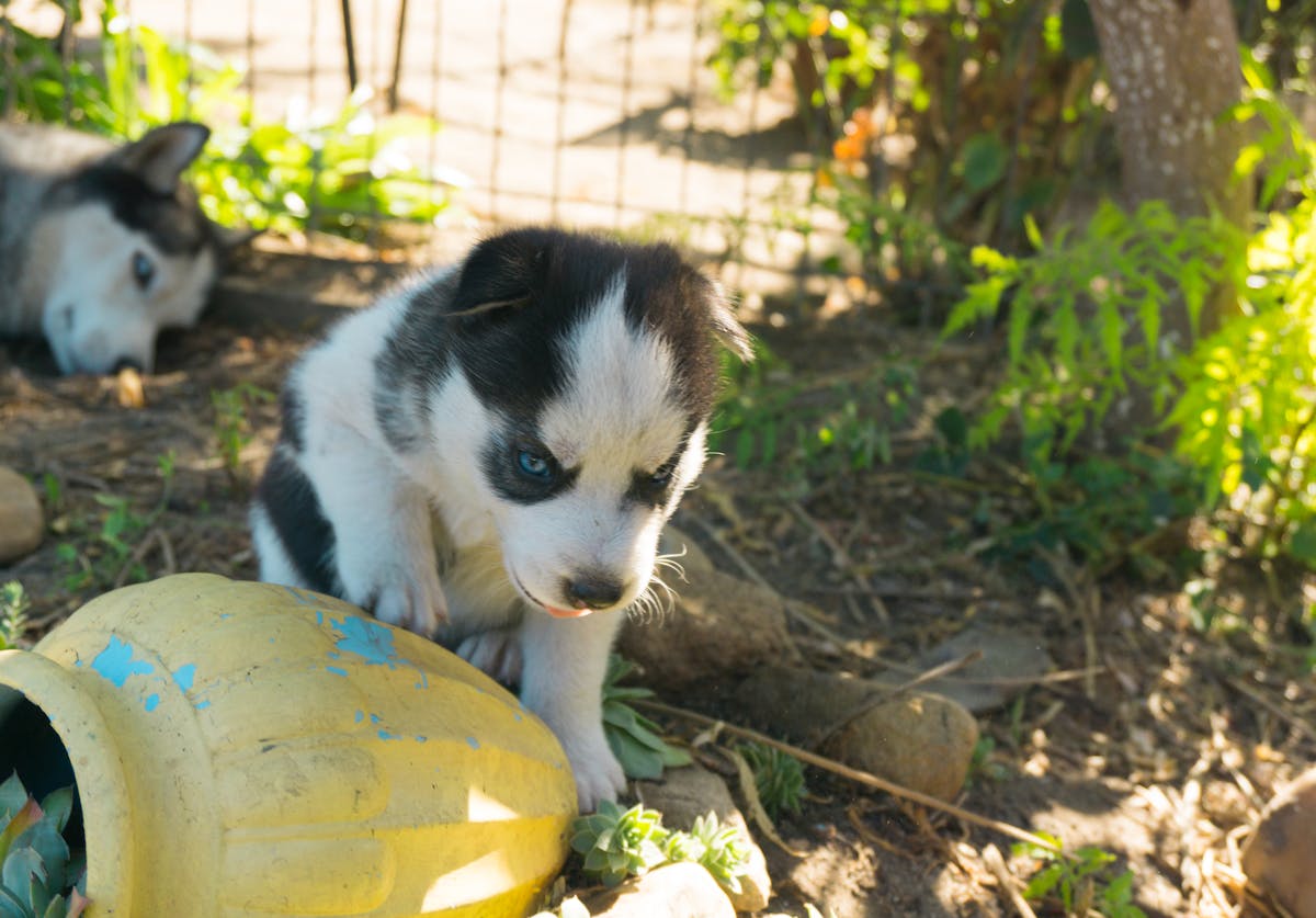 Charts and data analytics representing health and crypto tokenomics