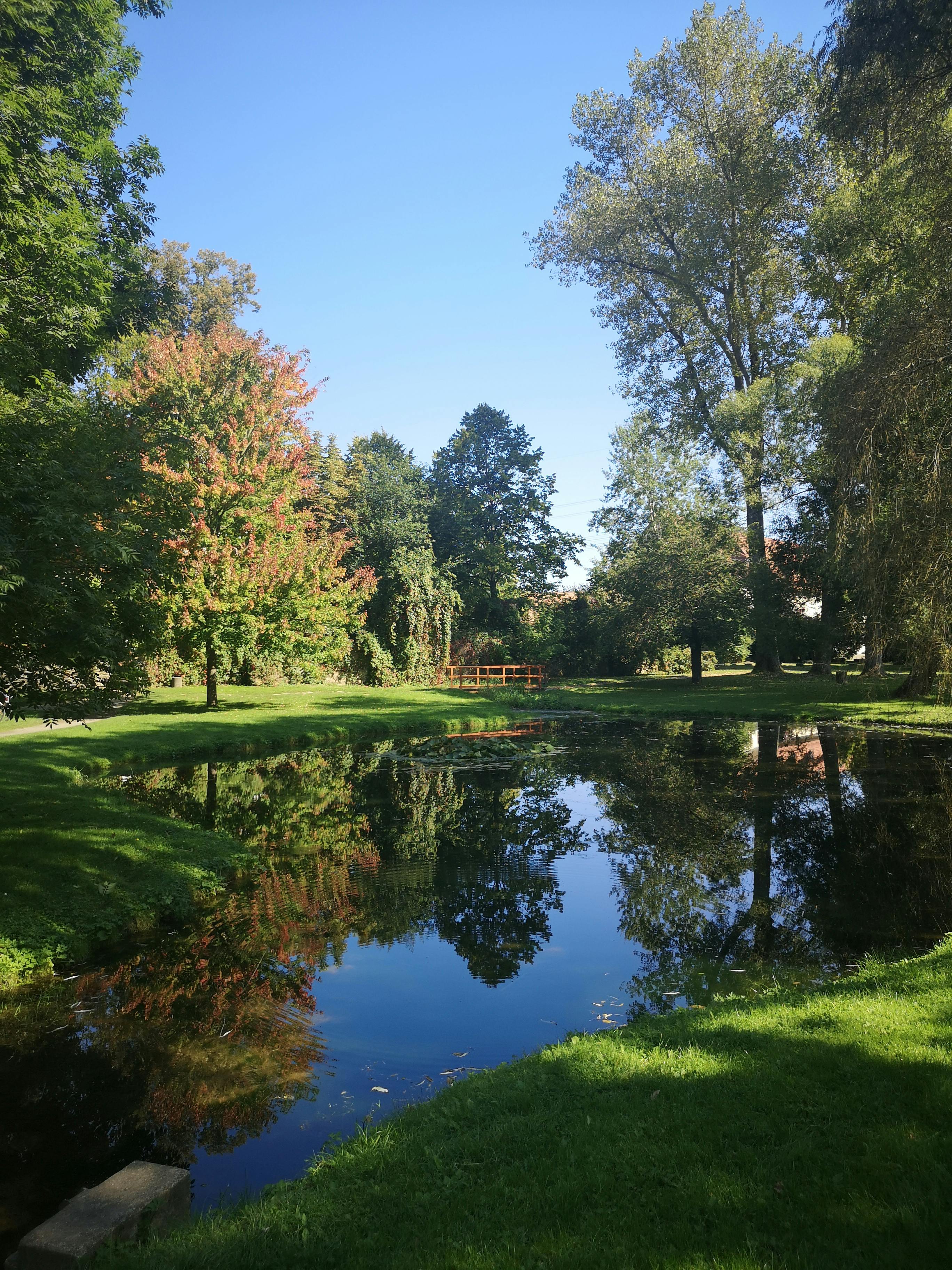 Teen and parent walking together in a park at sunset